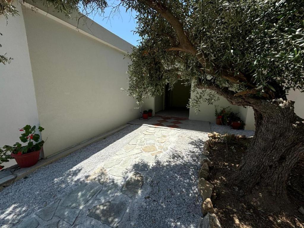 Tierra Skiathos Exterior foto