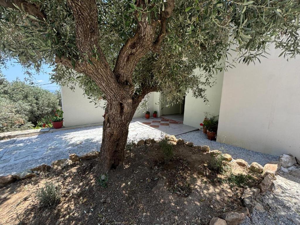 Tierra Skiathos Exterior foto